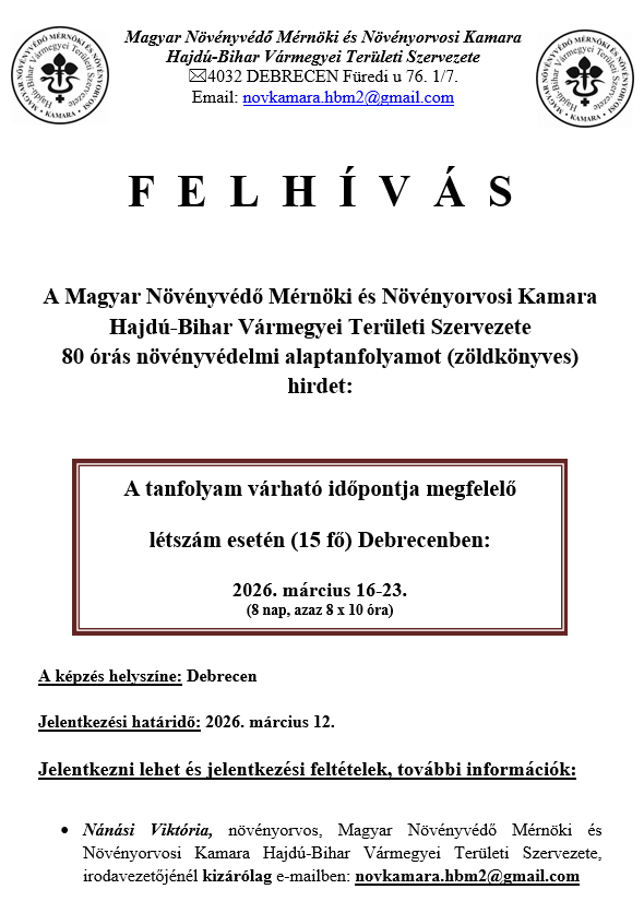 80 órás alaptanfolyam